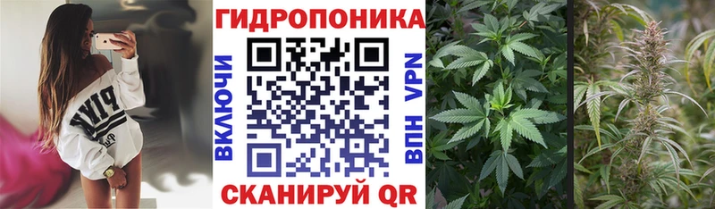 Сколько стоит Воскресенск МДМА  МЕФ  МАРИХУАНА  Кокаин  МЕГА зеркало  Галлюциногенные грибы 