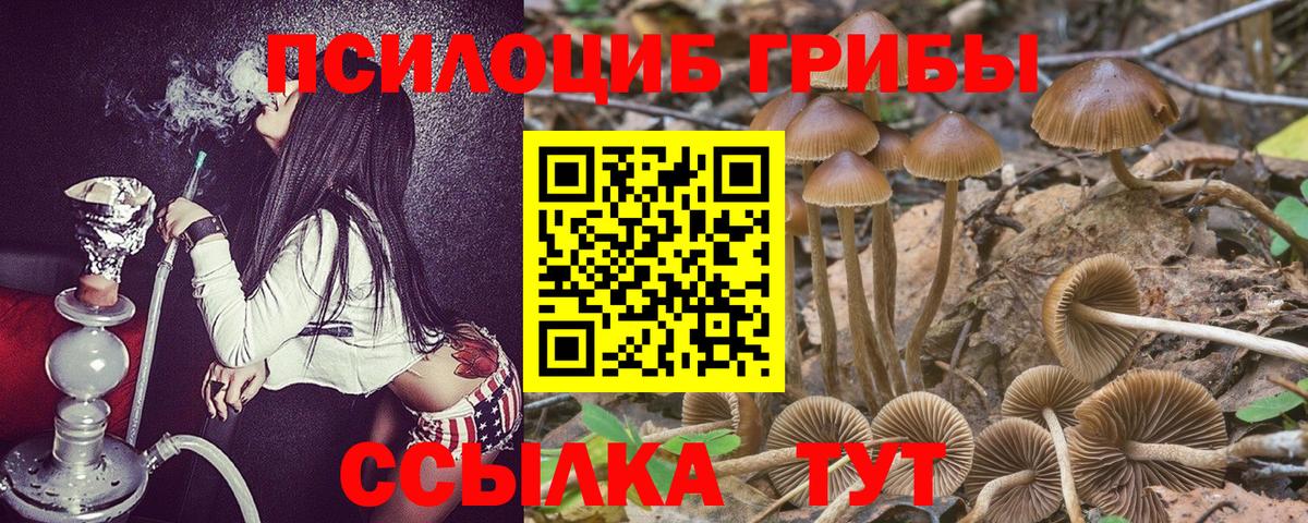 Галлюциногенные грибы Psilocybine cubensis  Вход с VPN  Воскресенск 