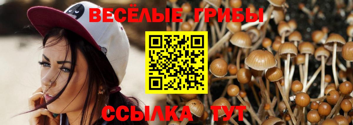 Галлюциногенные грибы прущие грибы Воскресенск